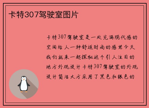 卡特307驾驶室图片